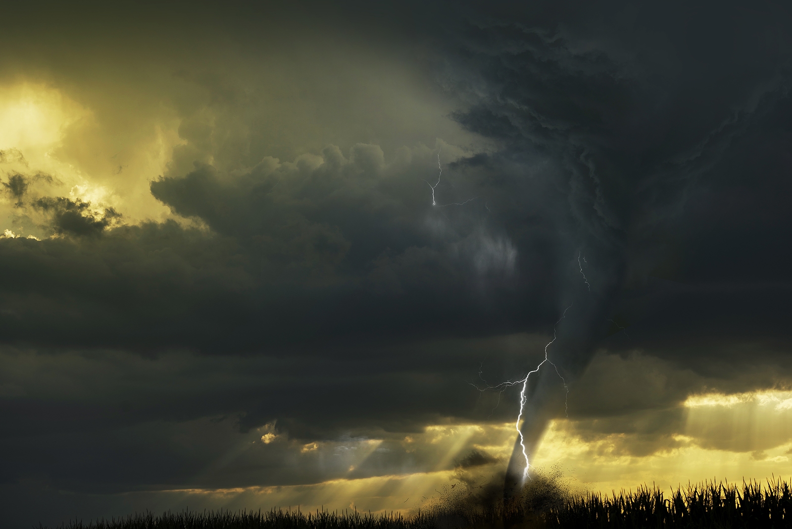 Tornado Devastation in St. Louis on May 16, 2025
